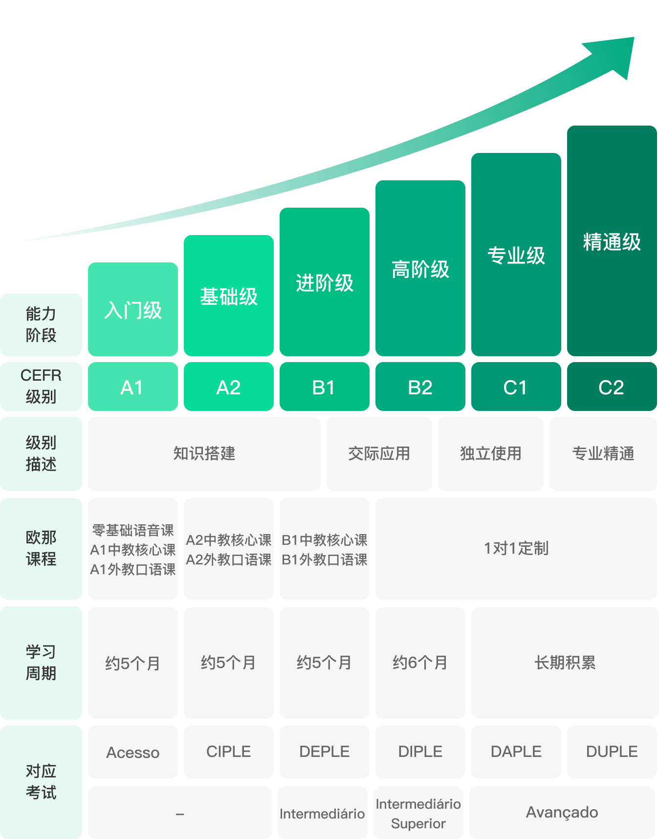 专业的课程体系